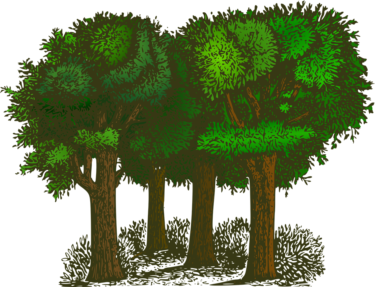 découvrez des informations et des conseils pratiques pour protéger et préserver l'environnement, promouvoir le développement durable et sensibiliser à l'importance de la nature.
