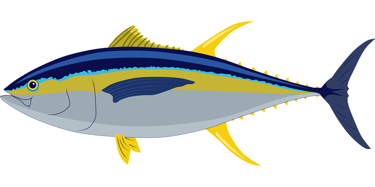 découvrez la beauté et la biodiversité des océans, des vastes étendues d'eau qui couvrent notre planète et abritent une vie marine exceptionnelle.