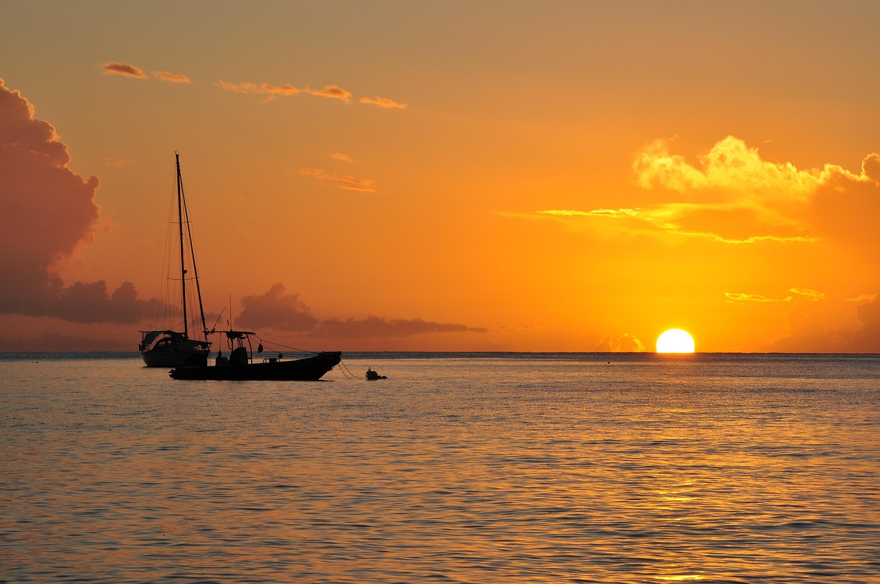 découvrez la guadeloupe, un joyau des caraïbes avec ses plages paradisiaques, sa culture vibrant, et sa nature luxuriante. explorez ses paysages éblouissants, savourez une cuisine créole exquise et plongez dans une atmosphère accueillante. partez à l'aventure dans cet écrin de biodiversité et de traditions uniques.
