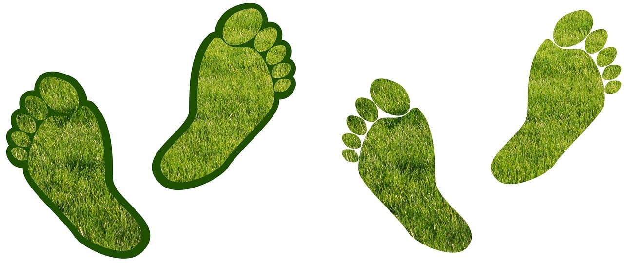découvrez ce qu'est l'empreinte carbone, comment la mesurer et des astuces pour la réduire afin de préserver l'environnement.