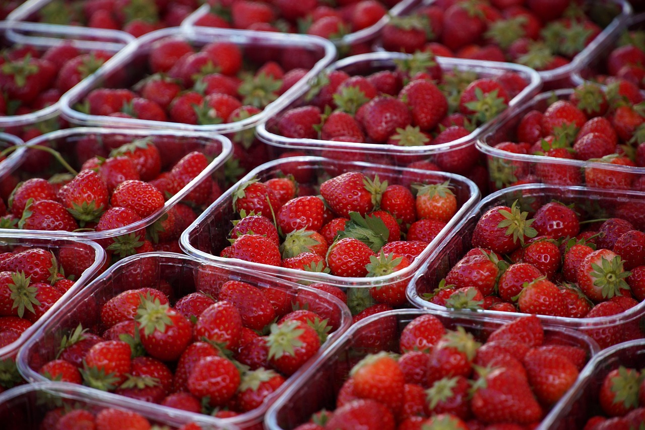 découvrez les principes de l'agriculture durable, une approche respectueuse de l'environnement qui allie production alimentaire, préservation des ressources naturelles et bien-être des communautés. apprenez comment adopter des pratiques agricoles éco-responsables pour un avenir plus vert.