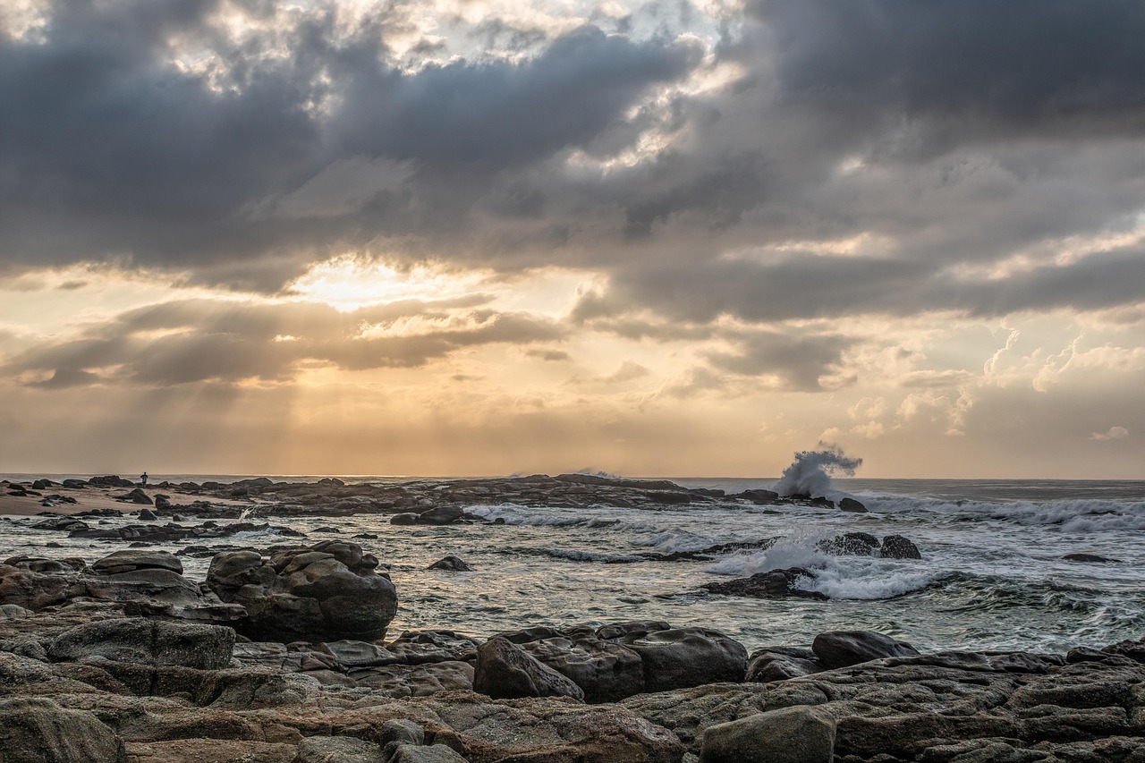 découvrez la beauté et la diversité des océans à travers le monde. plongez dans un univers fascinant rempli de vie marine, d'écosystèmes riches et de splendides paysages sous-marins. explorez les mystères des profondeurs et l'impact vital des océans sur notre planète.