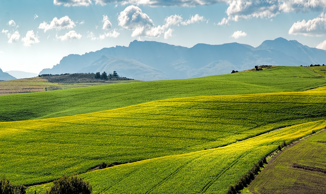 découvrez l'agriculture régénératrice, une approche innovante qui enrichit les sols, restaure les écosystèmes et favorise la biodiversité tout en répondant aux défis mondiaux de l'agriculture durable.