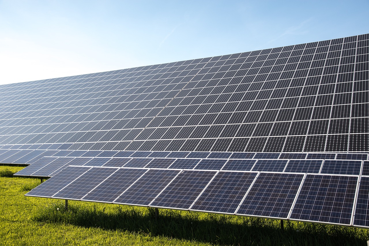 découvrez les enjeux et solutions de la transition écologique pour un avenir durable et respectueux de l'environnement.