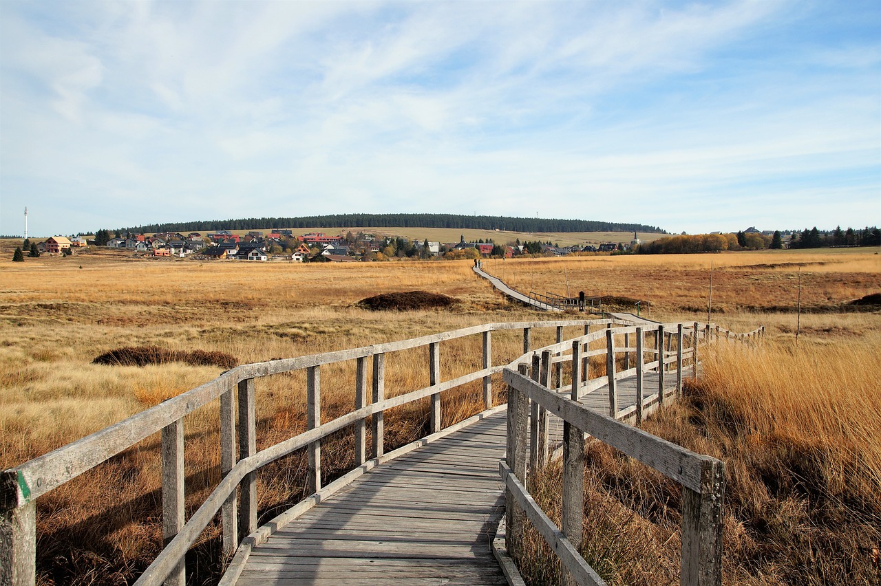 découvrez l'importance des zones protégées, des trésors de biodiversité qui préservent notre patrimoine naturel. apprenez comment ces espaces contribuent à la conservation des espèces, à la protection des écosystèmes et à la promotion d'un développement durable au sein de nos sociétés.