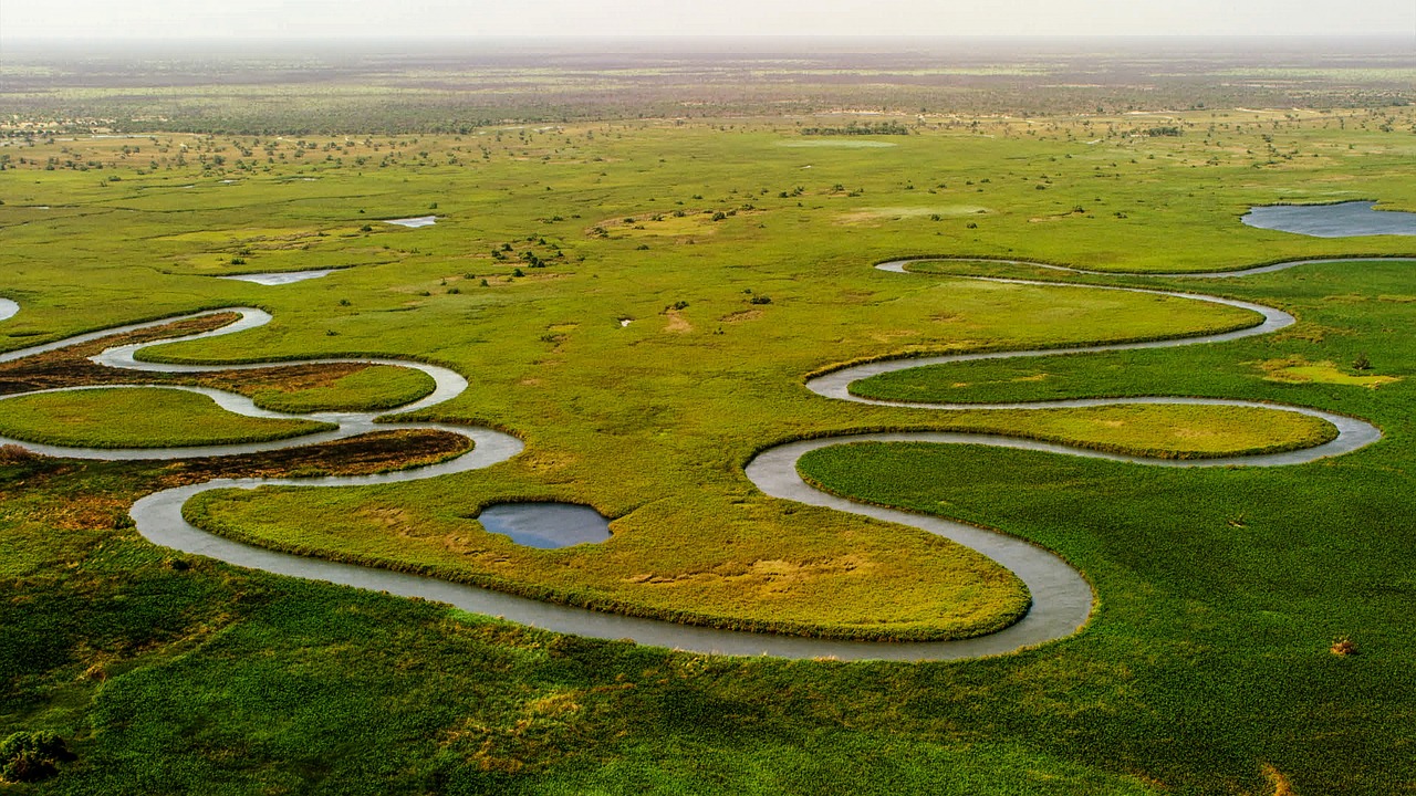 découvrez l'importance des zones humides : des écosystèmes riches en biodiversité qui jouent un rôle crucial dans la régulation des eaux, la protection contre les inondations et l'atténuation du changement climatique. plongez dans la beauté et la vitalité de ces environnements uniques.