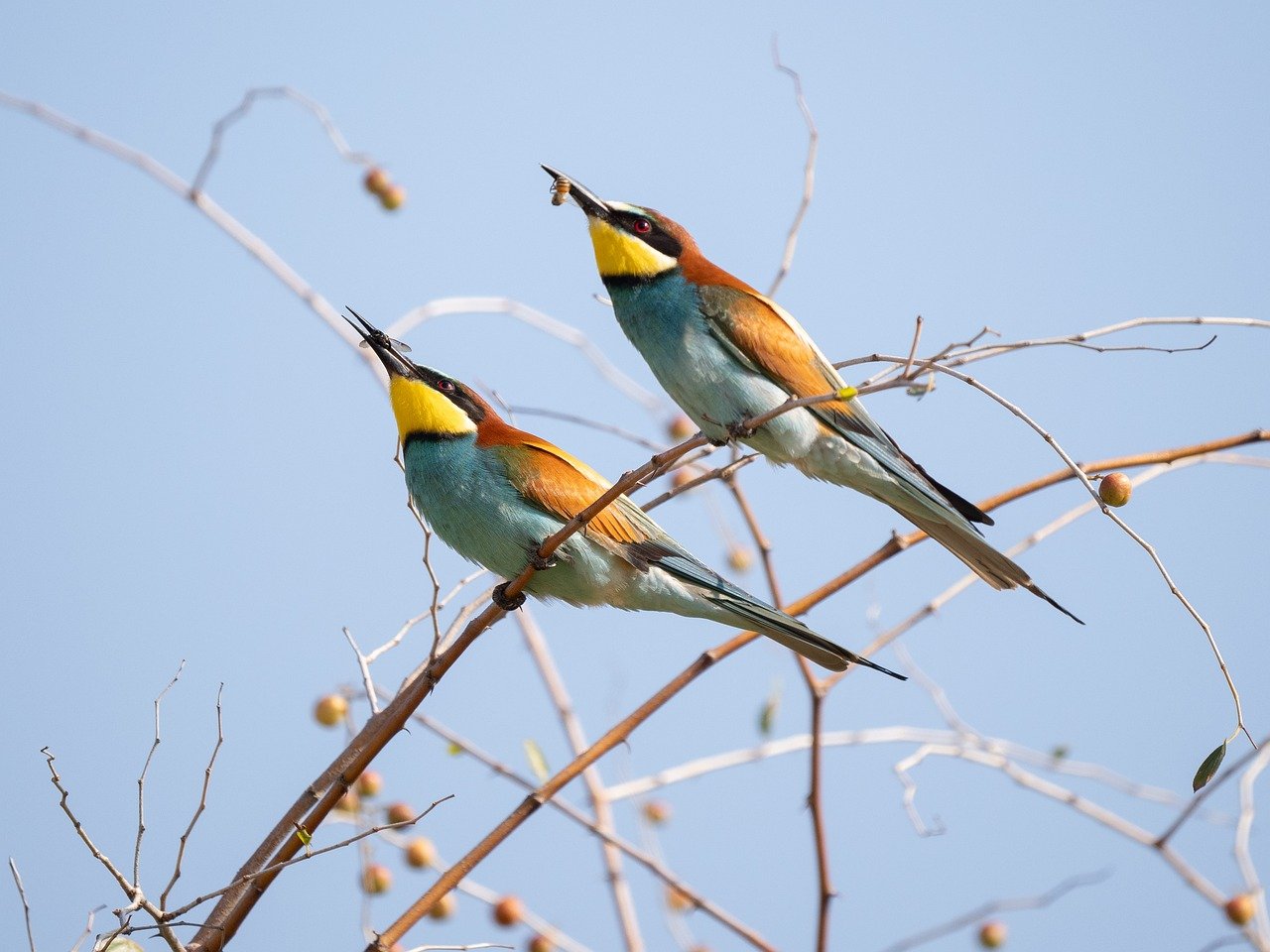découvrez l'importance des écosystèmes, leur diversité et leur rôle crucial dans le maintien de l'équilibre de notre planète. explorez comment les relations entre les organismes vivants et leur environnement façonnent la biodiversité et soutiennent la vie sur terre.