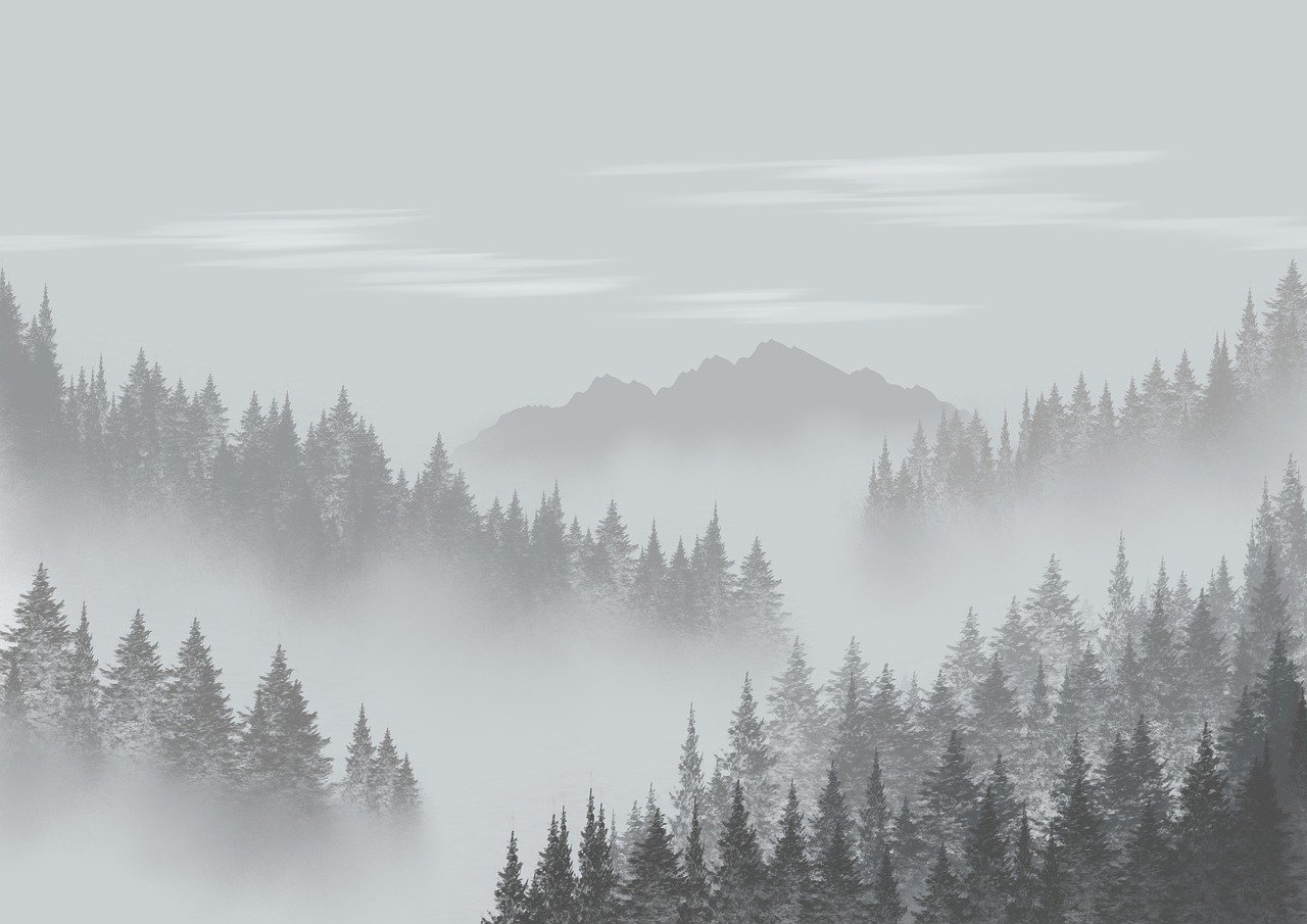 découvrez les forêts de montagne, des écosystèmes riches en biodiversité où la nature s'épanouit. explorez la beauté des paysages, la faune unique et les activités de plein air qui rendent ces régions incontournables pour les amoureux de la nature.