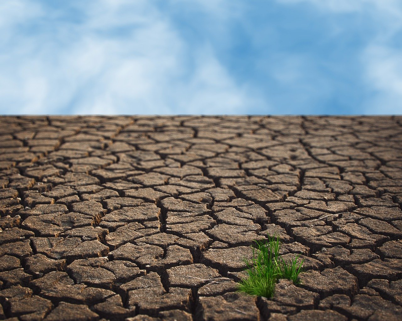 découvrez l'impact du changement climatique sur notre planète, les causes de ce phénomène mondial et les actions nécessaires pour préserver notre environnement. informez-vous sur les solutions durables et engagez-vous dans la lutte contre le réchauffement climatique.