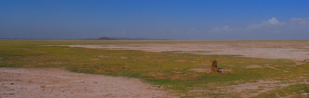 découvrez des actions concrètes pour lutter contre le changement climatique. engagez-vous dans des initiatives durables et apprenez comment réduire votre empreinte carbone tout en contribuant à un avenir meilleur pour notre planète.