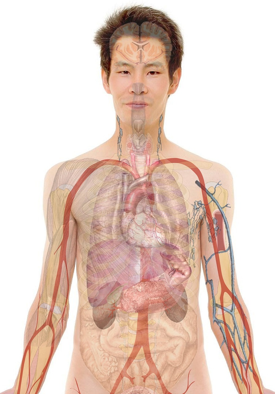 découvrez la science comportementale, une discipline qui étudie les interactions humaines et les mécanismes influençant nos décisions et comportements au quotidien.
