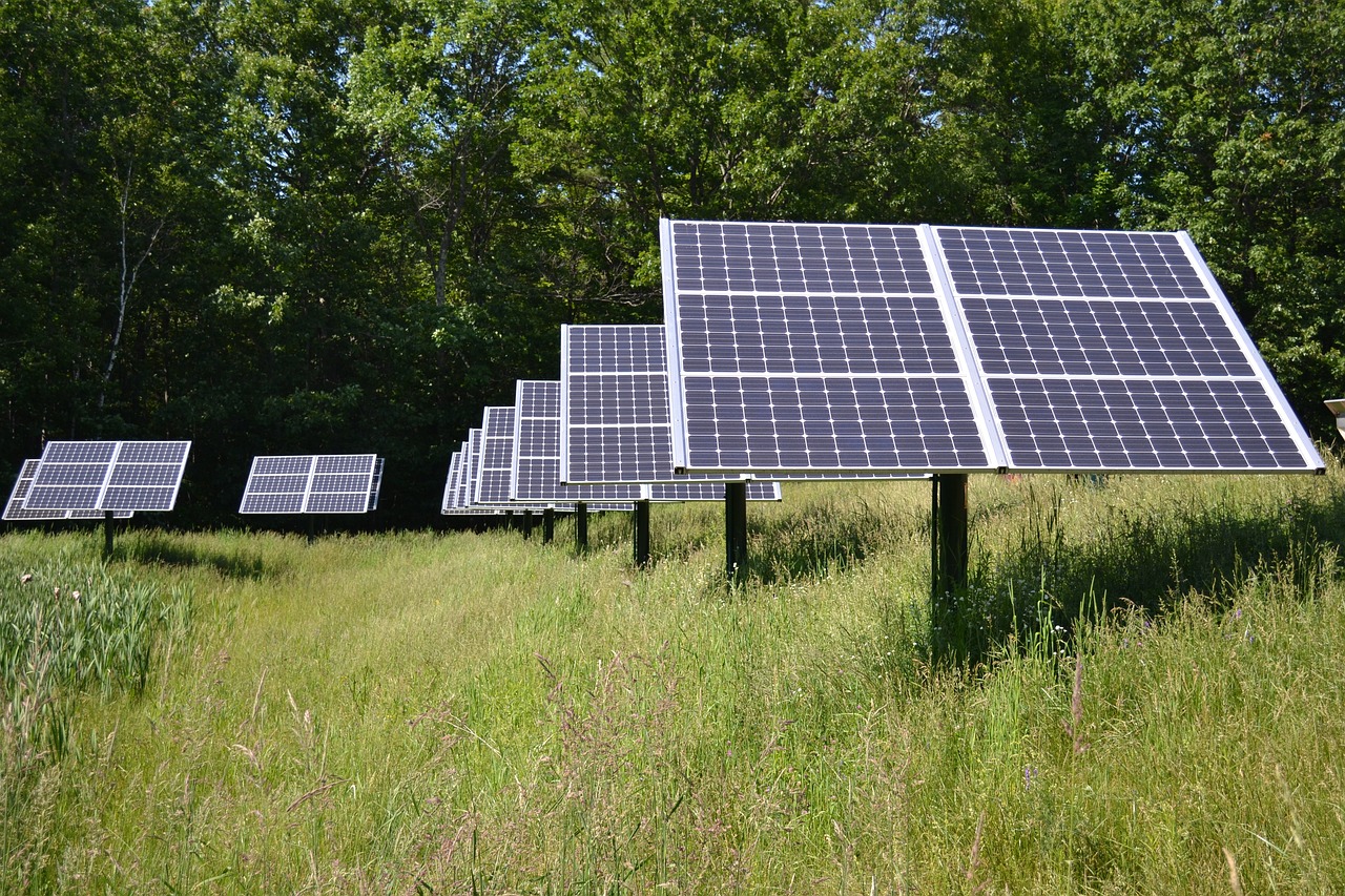 découvrez l'importance de la conservation des ressources pour un avenir durable. apprenez des stratégies efficaces pour préserver notre environnement naturel et garantir des ressources essentielles pour les générations futures.