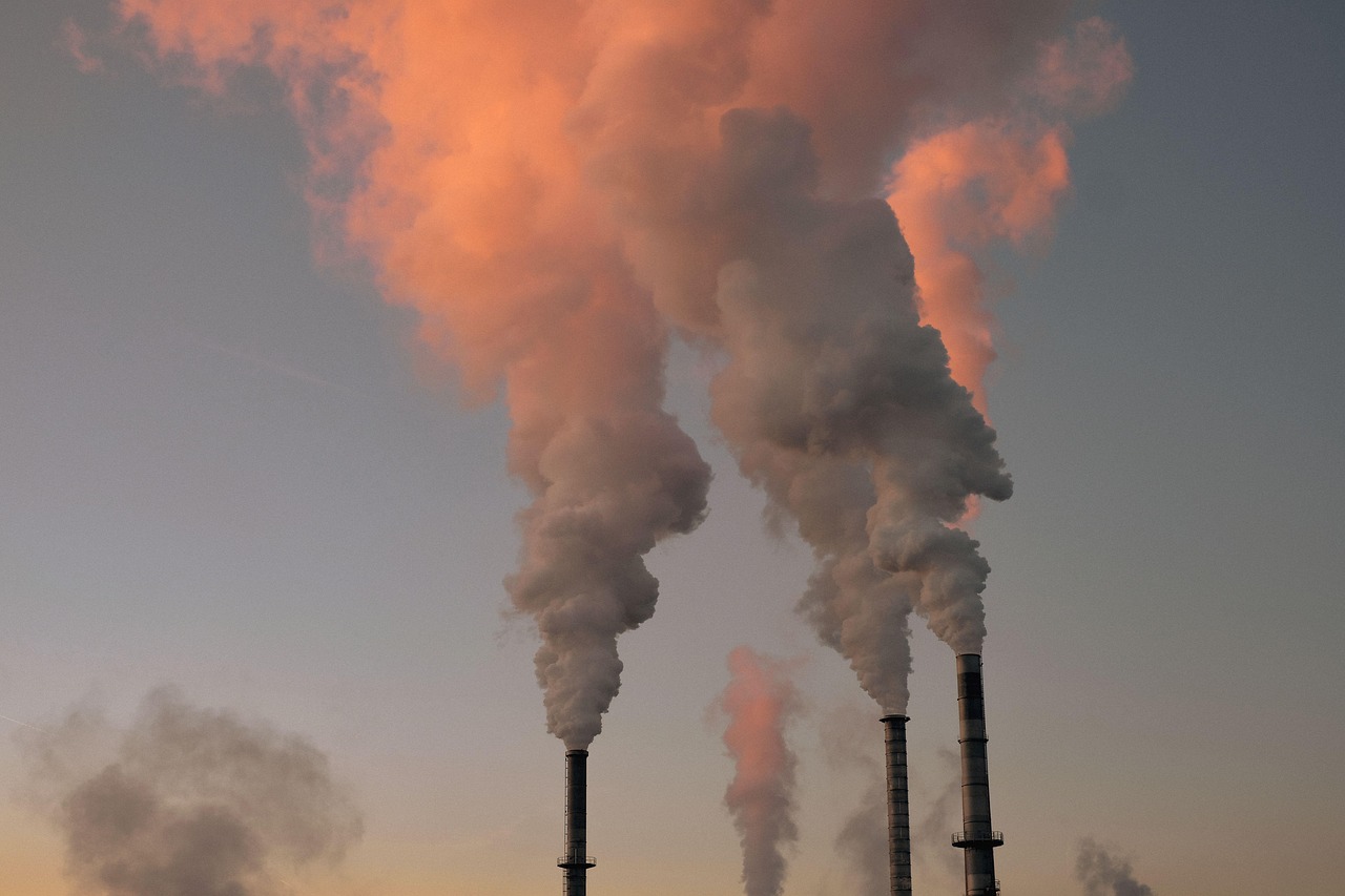 découvrez des informations complètes sur l'environnement : actualités, enjeux, solutions écologiques, préservation de la planète et nouvelles tendances pour un avenir durable.