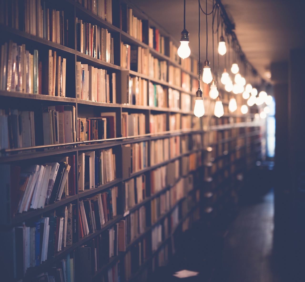 découvrez l'importance de l'éducation environnementale pour sensibiliser les générations futures aux enjeux écologiques. apprenez à protéger notre planète à travers des programmes éducatifs innovants et des actions concrètes.