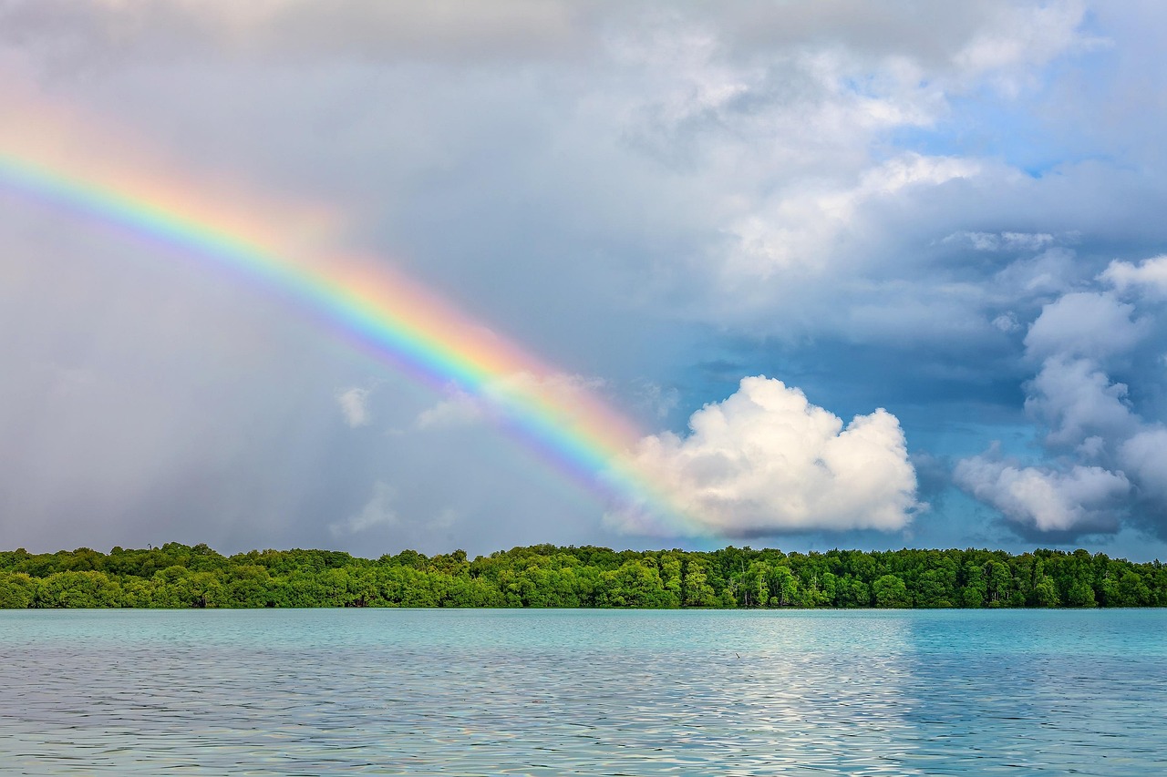 découvrez la beauté et la richesse de la nature à travers des articles, conseils et inspirations pour mieux comprendre et préserver l’environnement. explorez la faune, la flore et les paysages naturels exceptionnels.