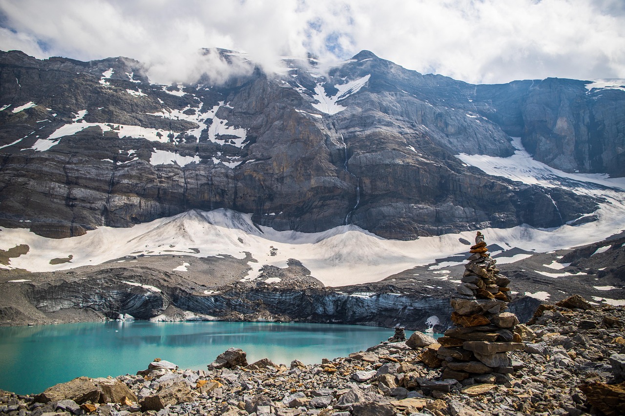 explorez les dynamiques des glaciers : découvrez comment les glaciers se déplacent, interagissent avec leur environnement et sont influencés par le changement climatique, avec des analyses et des études de cas fascinantes.
