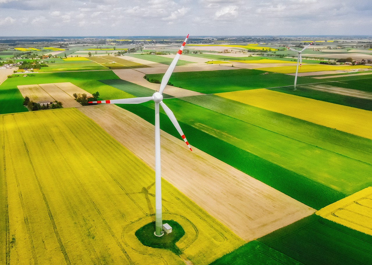 découvrez l'écologie, une science essentielle qui étudie les relations entre les organismes vivants et leur environnement. explorez des concepts clés comme la biodiversité, les écosystèmes et la durabilité pour mieux comprendre notre planète et les enjeux environnementaux contemporains.