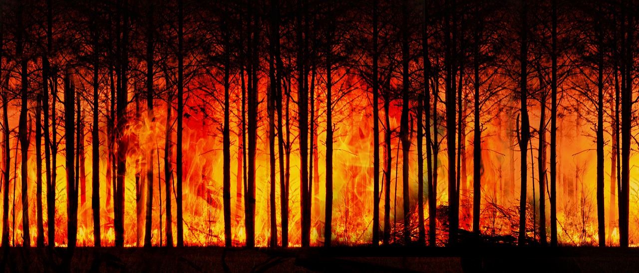 découvrez l'importance de la communication sur le changement climatique. apprenez comment sensibiliser, engager et mobiliser les communautés autour des enjeux environnementaux pour un avenir durable.