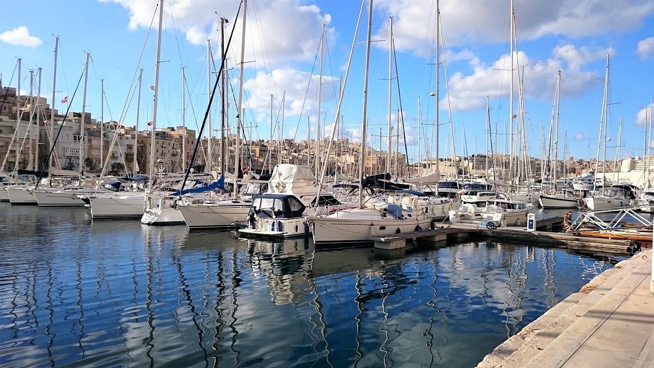 découvrez comment voyager de manière responsable avec nos conseils pour un tourisme durable. explorez des pratiques écologiques et des destinations engagées pour protéger la planète tout en profitant de vos aventures.