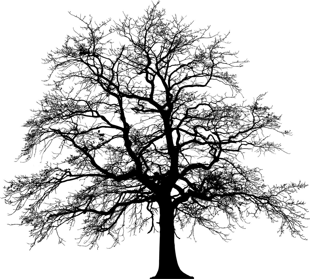 découvrez notre stratégie de transition écologique visant à promouvoir un développement durable, réduire l'empreinte carbone et préserver les ressources naturelles pour un avenir responsable.