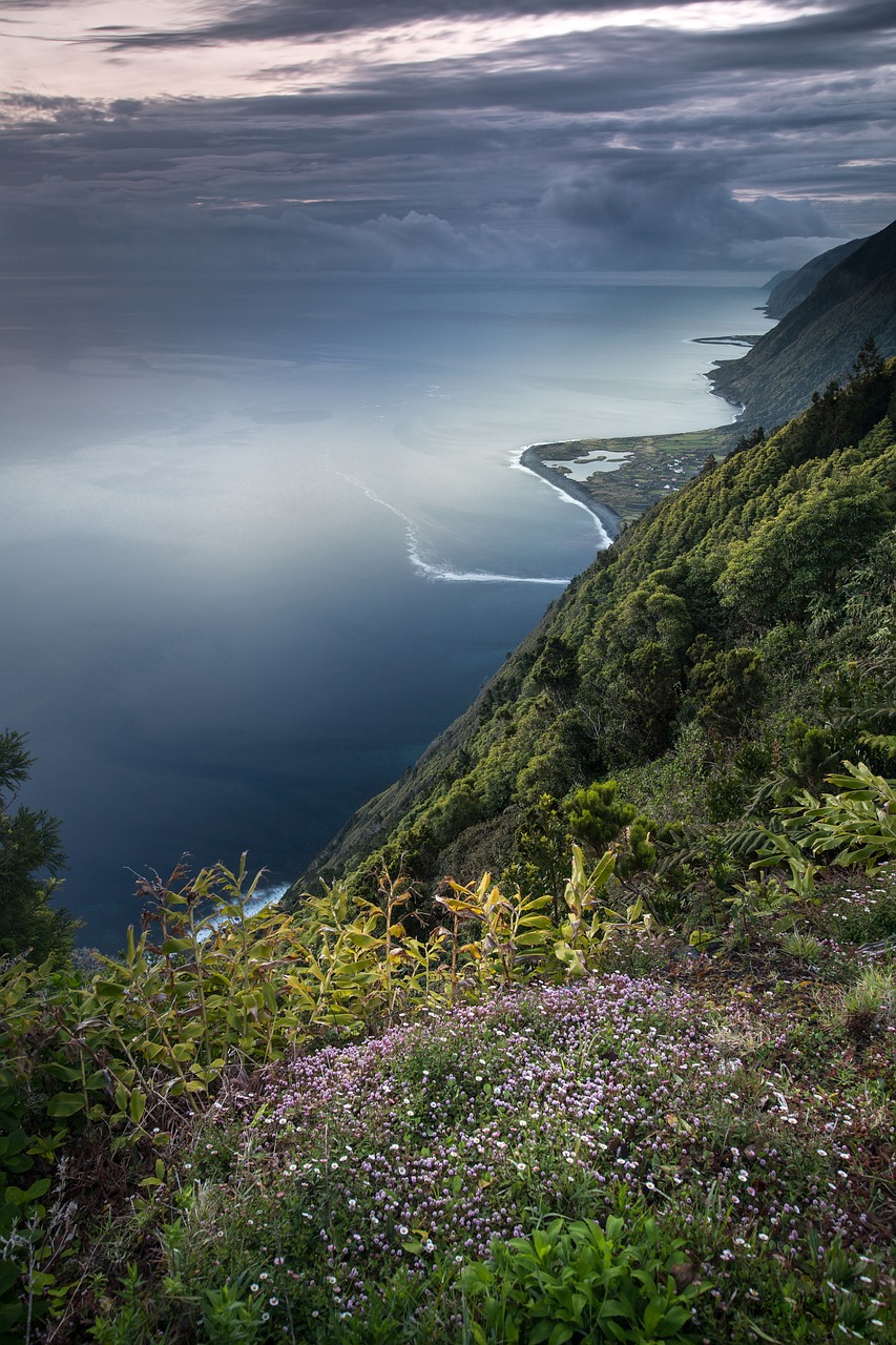 découvrez la richesse et la diversité de la biodiversité marine, un écosystème vital pour notre planète. explorez les espèces marines, leur habitat, et l'importance de leur préservation pour un avenir durable.