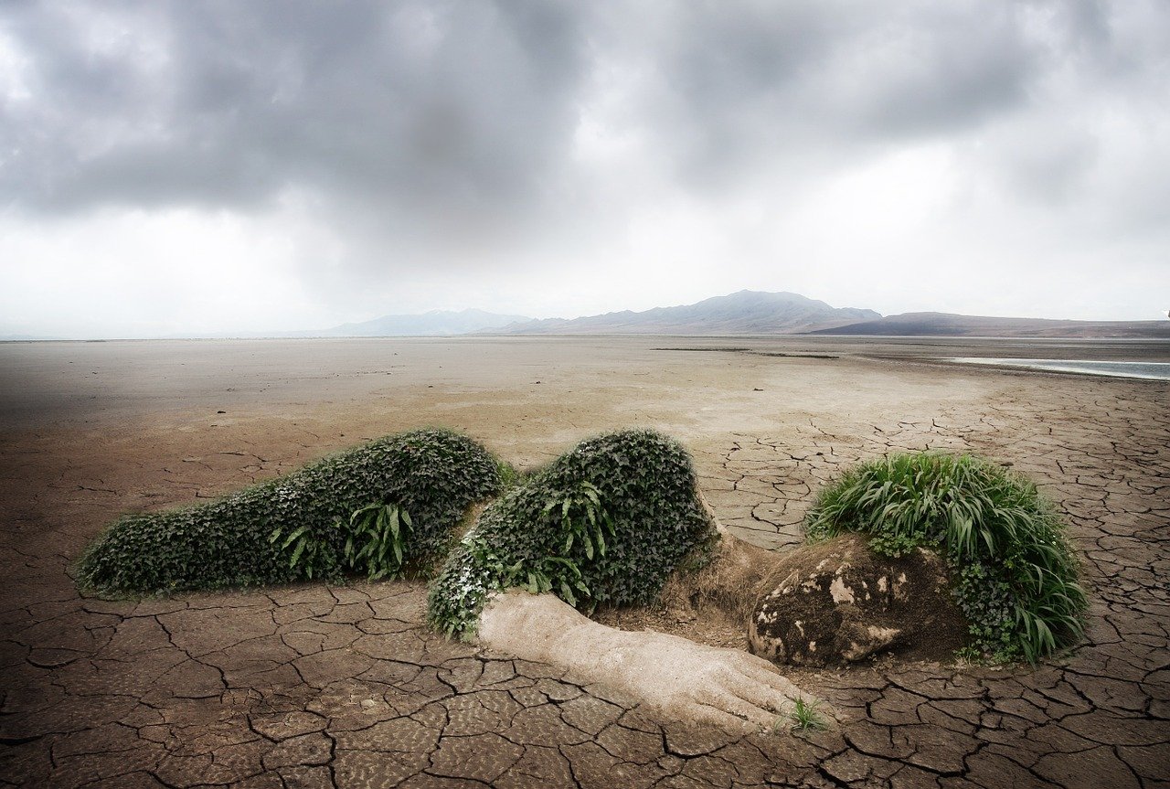 découvrez des stratégies efficaces et des initiatives innovantes pour protéger notre environnement. engagez-vous dans la lutte contre le changement climatique et apprenez comment chacun peut contribuer à un avenir durable.