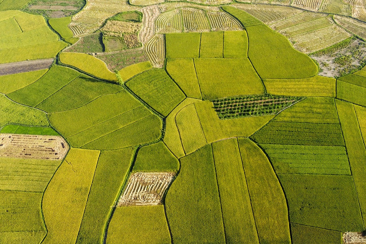 découvrez l'agriculture durable, une méthode innovante qui respecte l'environnement tout en optimisant la production alimentaire. explorez les pratiques éco-responsables qui favorisent la biodiversité et préservent les ressources naturelles pour un avenir alimentaire durable.