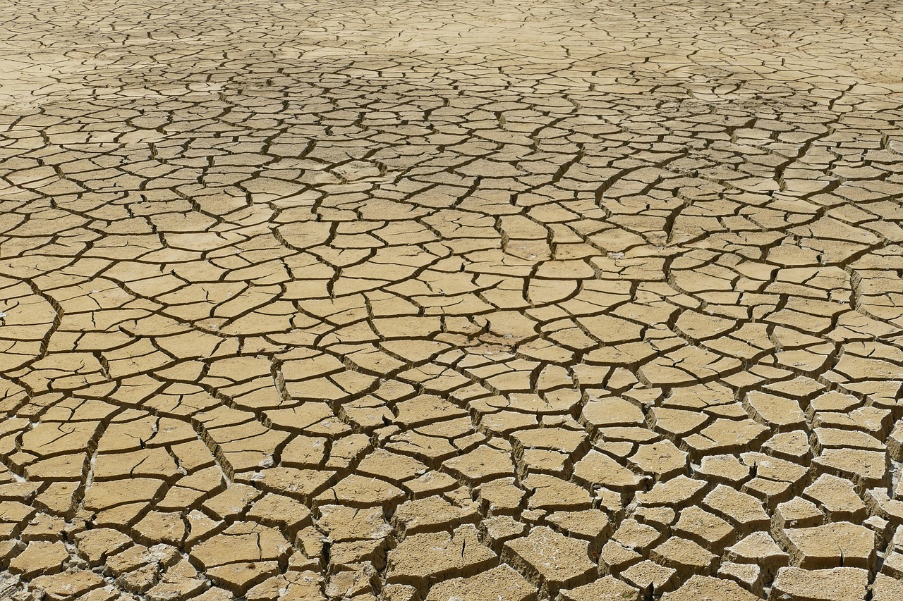découvrez les causes, les impacts et les solutions du changement climatique pour mieux comprendre et agir face à cette urgence mondiale.