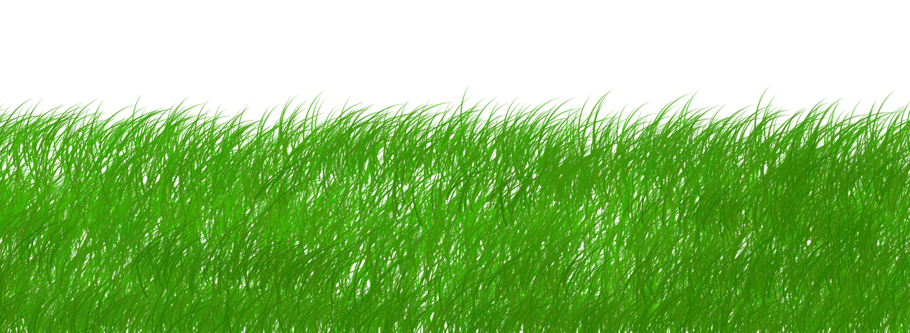 découvrez les enjeux de la durabilité et de la protection de l'environnement. apprenez comment adopter des pratiques durables pour préserver notre planète tout en garantissant un avenir meilleur pour les générations futures.