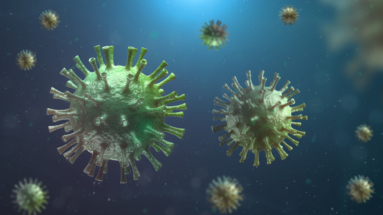 informations complètes sur les maladies infectieuses : causes, symptômes, prévention et traitements pour protéger votre santé.