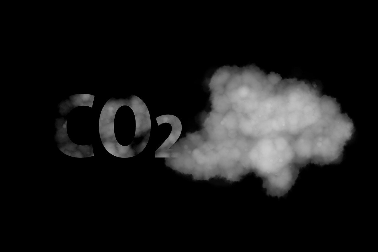découvrez les causes, les impacts et les solutions du changement climatique pour agir en faveur de la planète et préserver notre avenir.