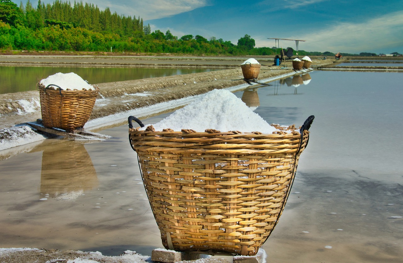 découvrez le phénomène de la salinisation, ses causes, ses conséquences sur l'environnement et l'agriculture, ainsi que les solutions possibles pour préserver nos terres et ressources en eau. apprenez comment faire face à ce défi écologique majeur.