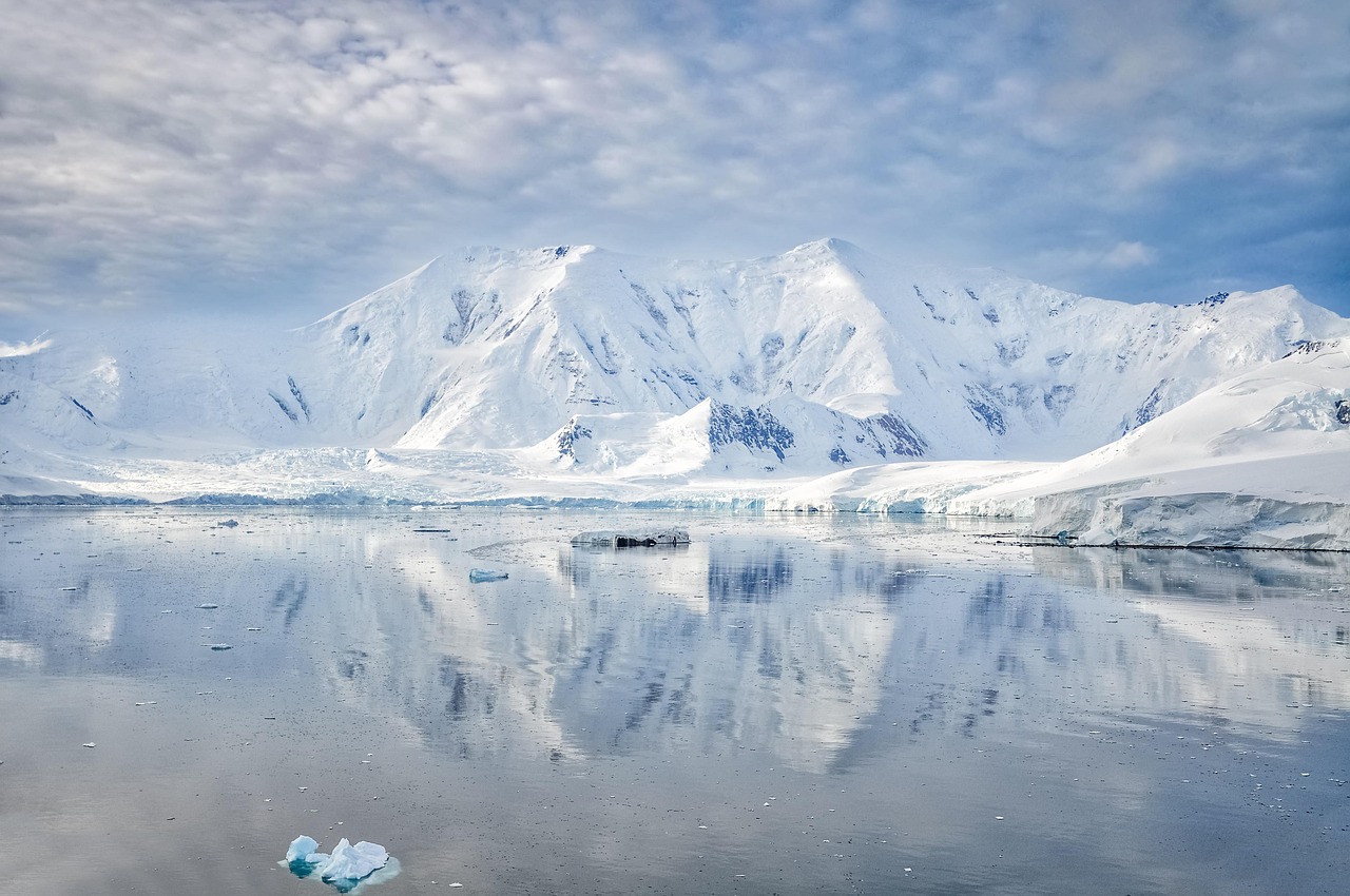 découvrez l'arctique, une région fascinante aux paysages glacés, riche en faune unique et en mystères polaires.