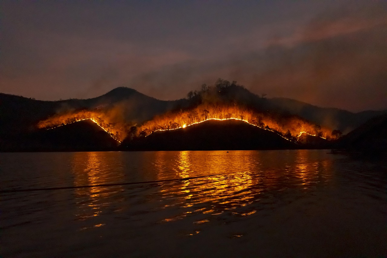découvrez les causes, les impacts et les stratégies de prévention des incendies de forêt. informez-vous sur les mesures à prendre pour protéger notre environnement et nos communautés face à ce phénomène naturel dévastateur.