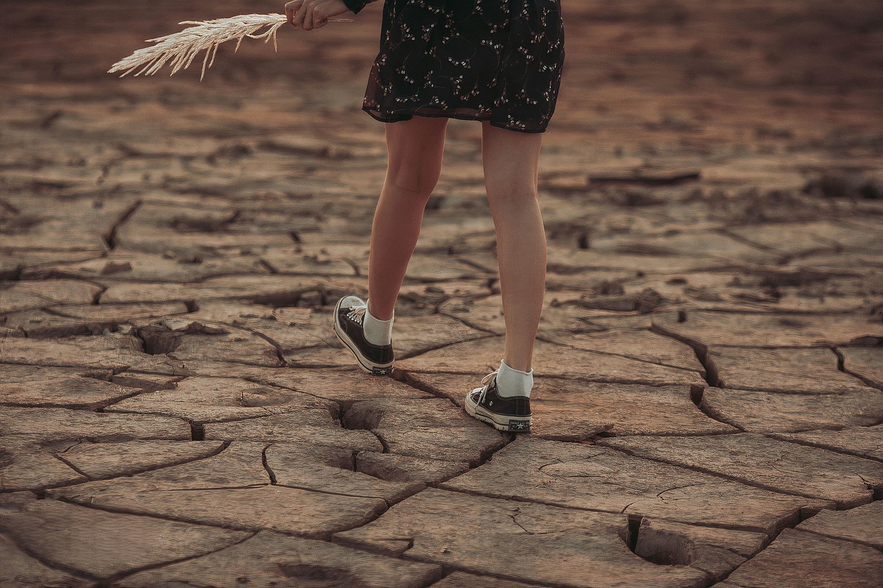 découvrez des stratégies et solutions innovantes pour l'adaptation au changement climatique, visant à protéger l'environnement et les communautés face aux impacts croissants.