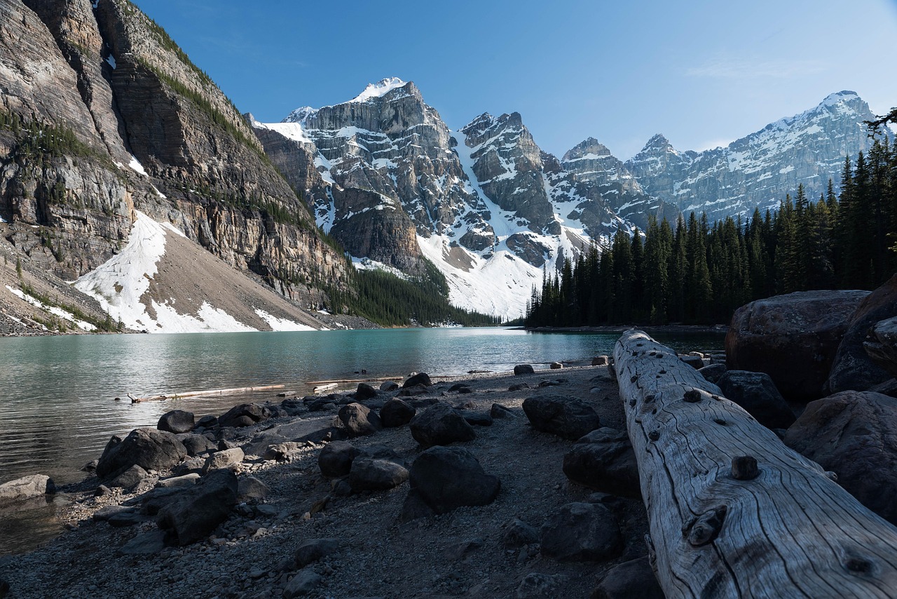 découvrez la stratégie climatique du canada, ses objectifs pour réduire les émissions de carbone et ses initiatives pour un avenir durable.