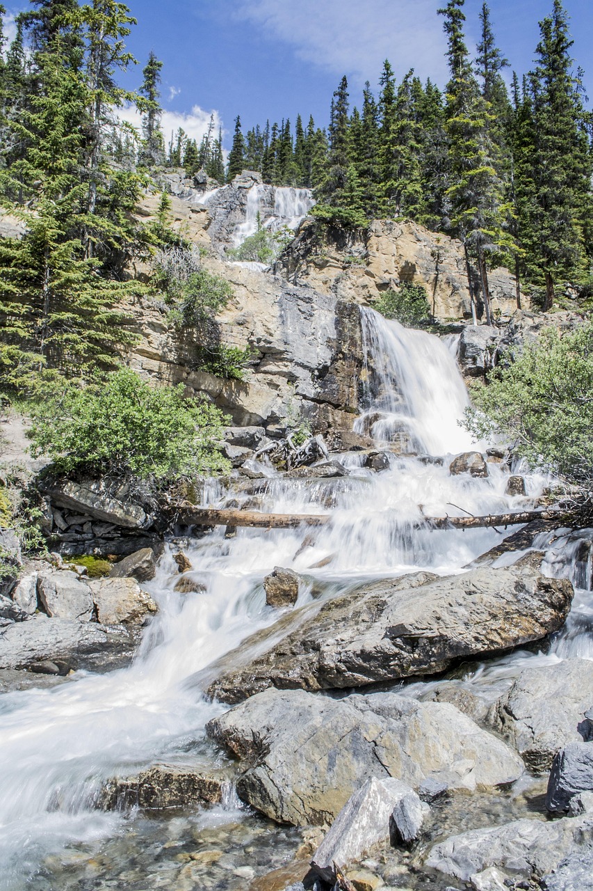 découvrez les principaux défis environnementaux actuels, leurs impacts sur notre planète, et les solutions pour un avenir durable.