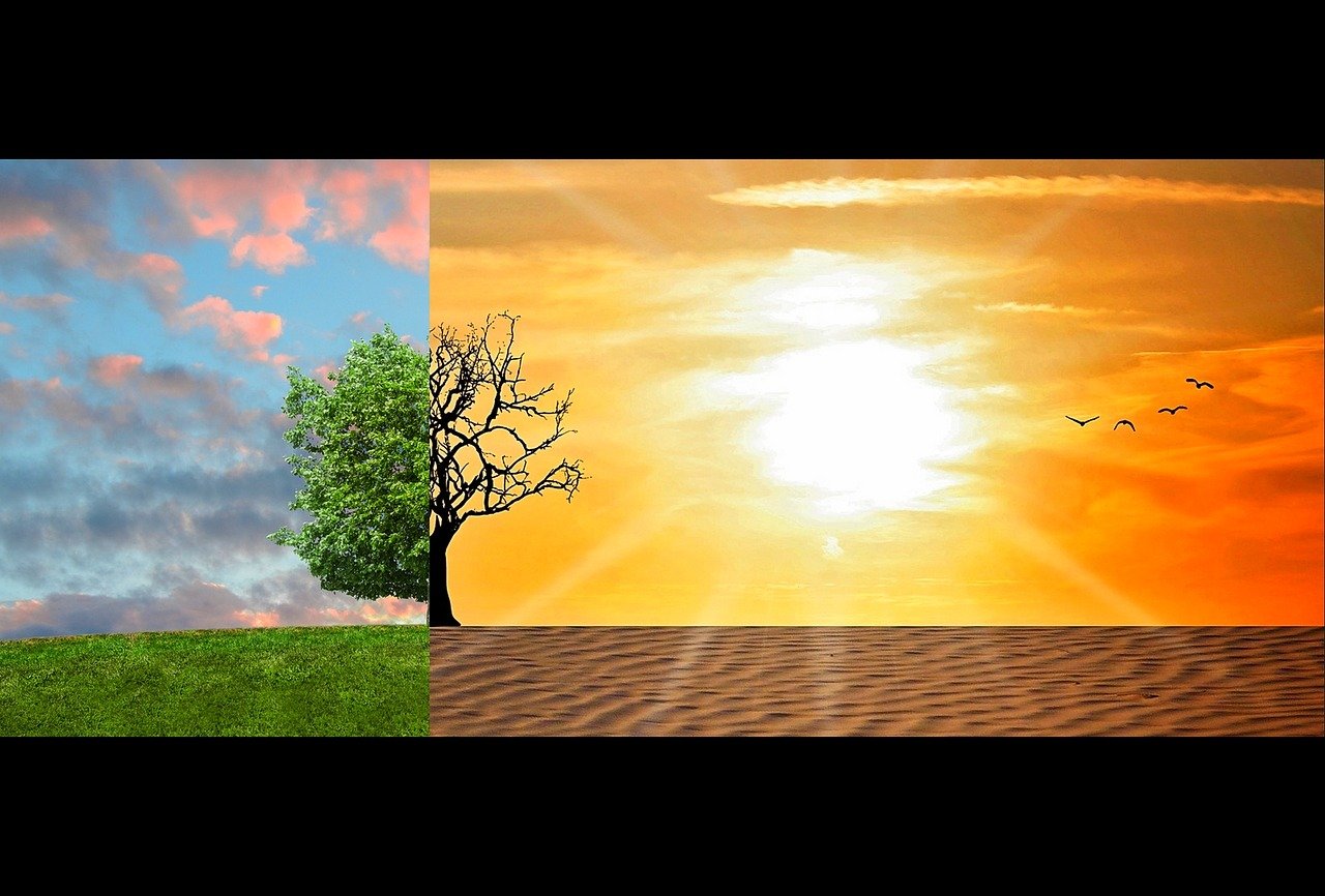 découvrez comment les changements climatiques impactent notre planète et les actions que nous pouvons entreprendre pour un avenir durable. informez-vous sur les causes, les effets et les solutions au changement climatique.