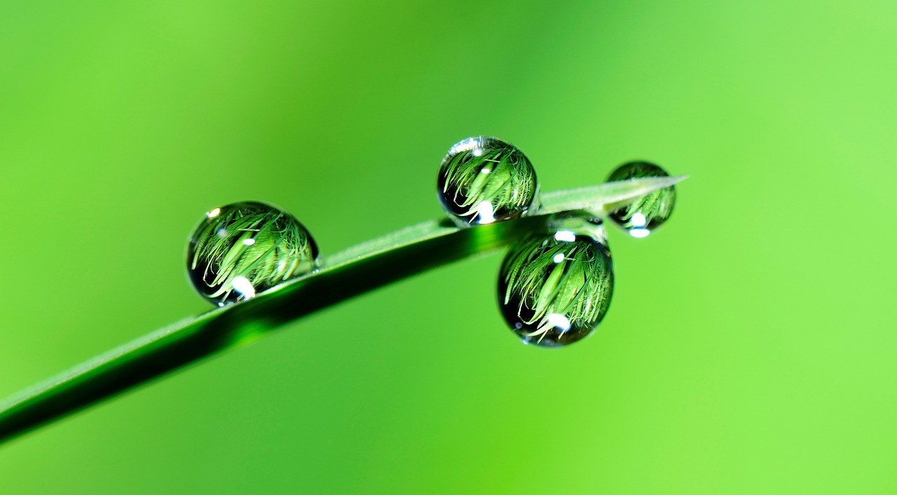 découvrez des initiatives écologiques innovantes pour promouvoir un avenir durable. explorez des projets qui font la différence dans la lutte contre le changement climatique et contribuent à la préservation de notre planète.