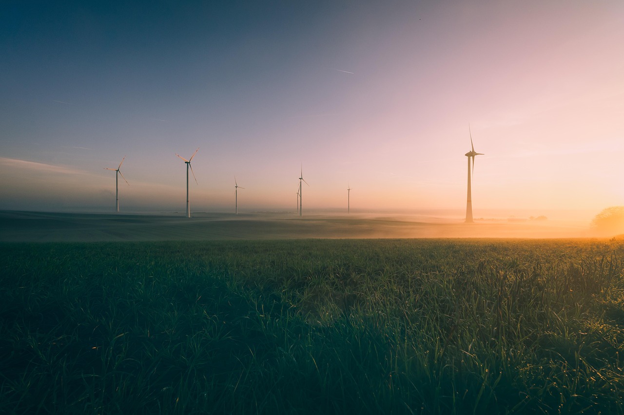 découvrez les enjeux cruciaux de l'environnement et comment préserver notre planète. explorez des solutions durables, des initiatives écologiques et les actions individuelles à prendre pour un avenir meilleur.