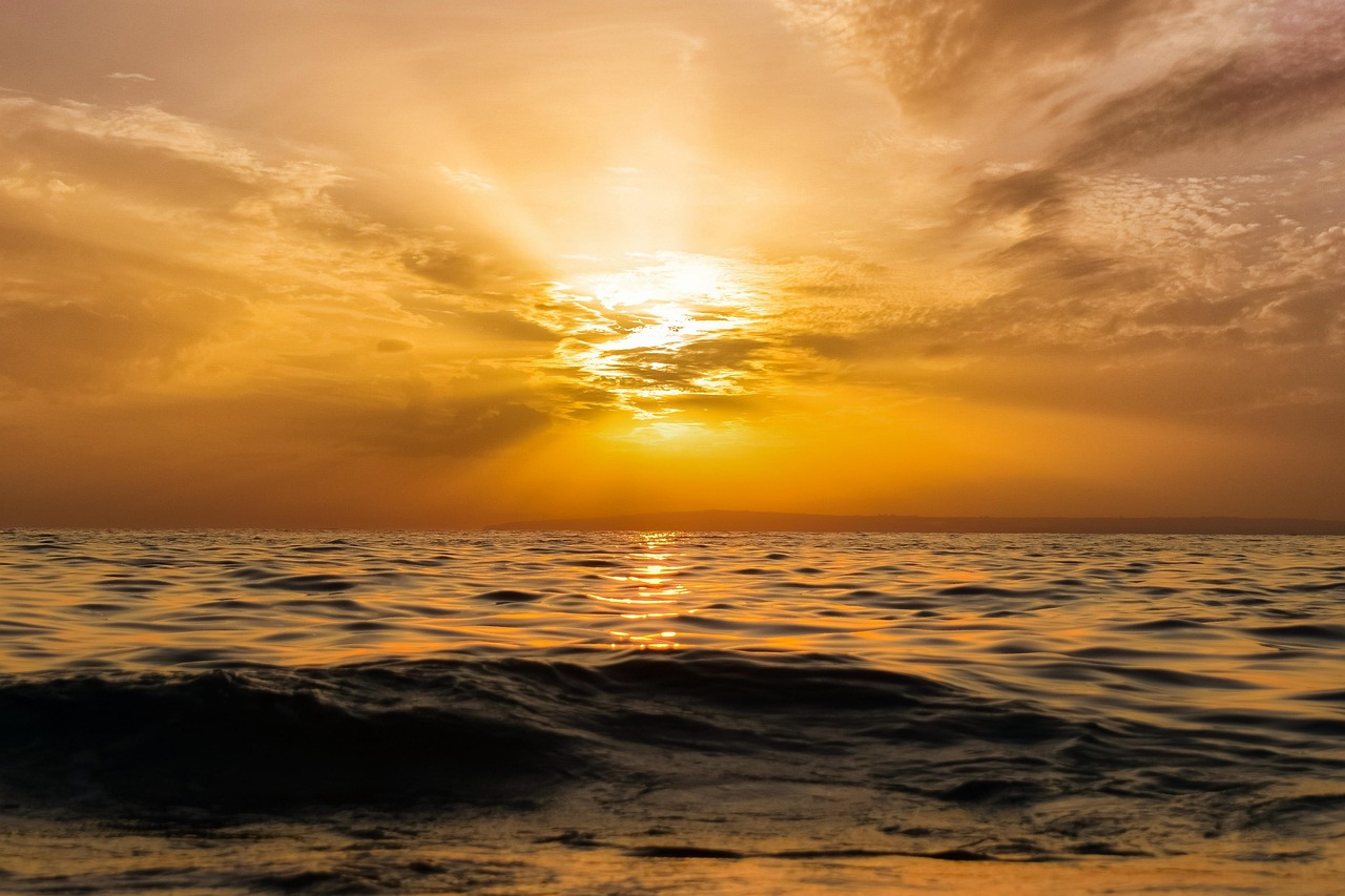 découvrez l'immensité et la beauté des océans, ces vastes étendues d'eau qui abritent une biodiversité incroyable. plongez dans les merveilles marines, explorez les récifs coralliens, et apprenez comment protéger nos océans pour les générations futures.