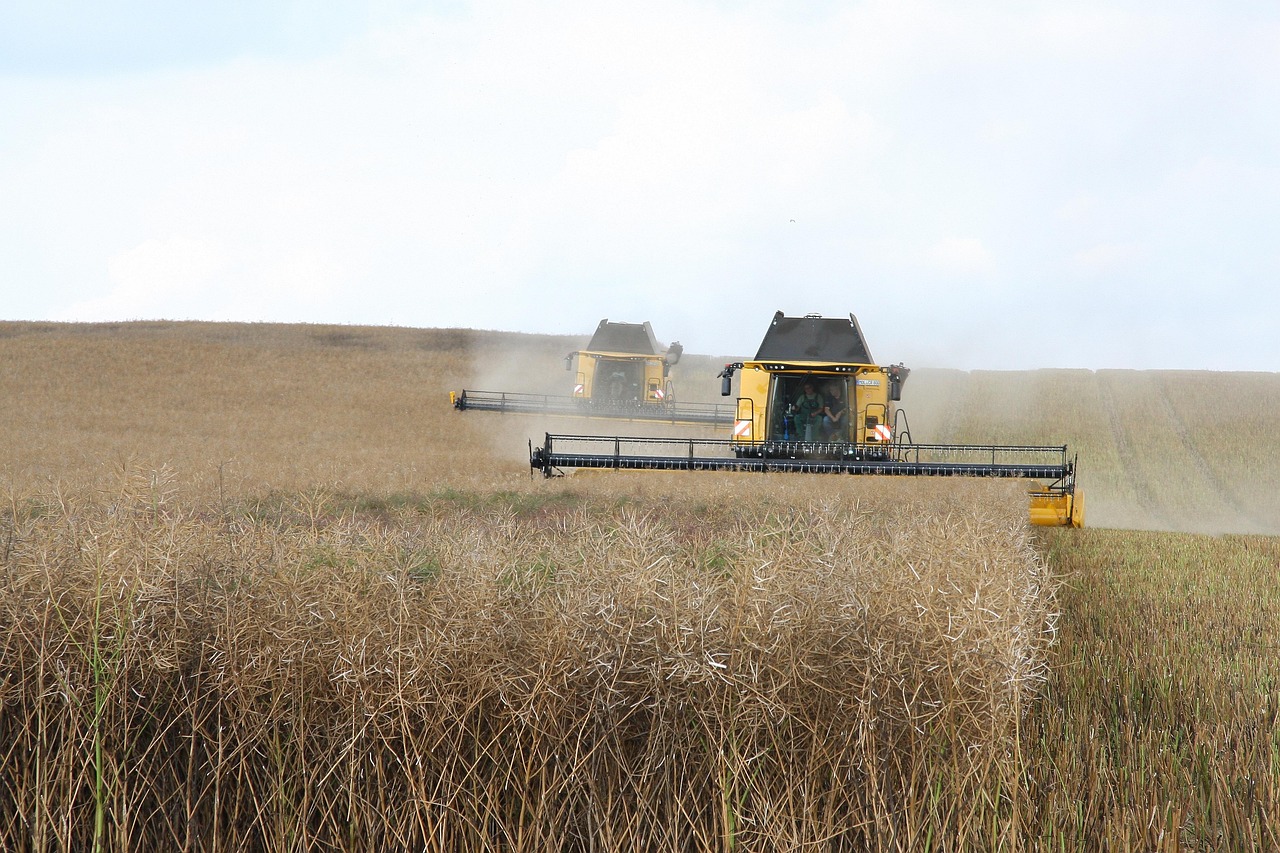 explorez le monde de l'agriculture, découvrez des techniques innovantes, des pratiques durables et les dernières tendances du secteur. que vous soyez un agriculteur passionné ou simplement curieux, apprenez comment l'agriculture façonne notre avenir alimentaire.
