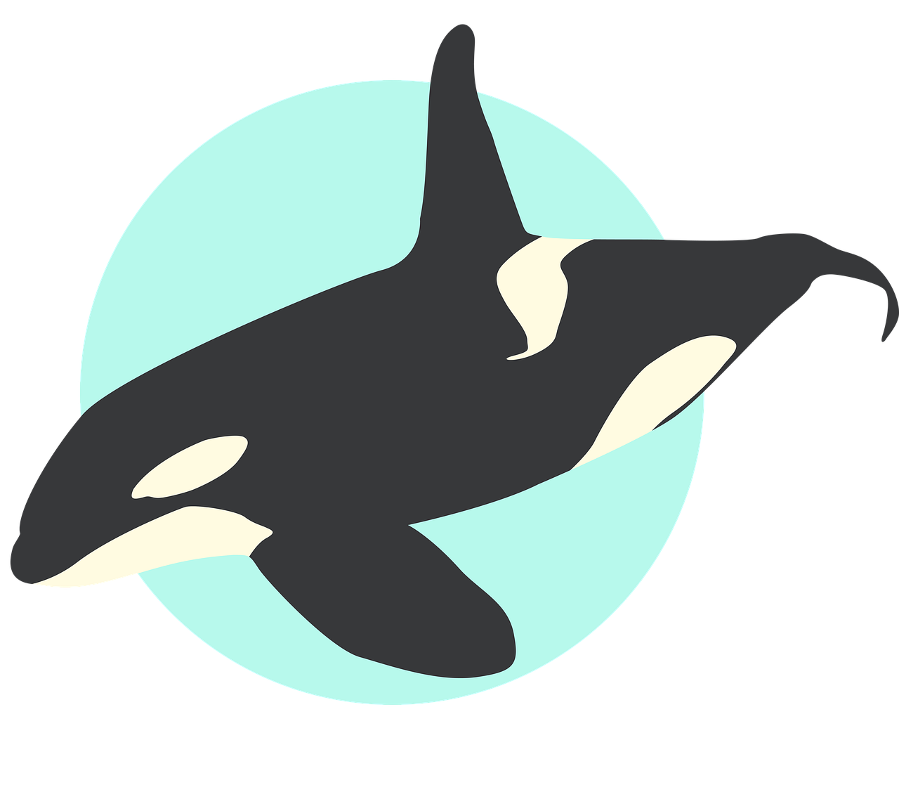 découvrez la richesse de la biodiversité marine, ses écosystèmes fascinants et l'importance de la protection des espèces marines pour préserver l'équilibre de nos océans.