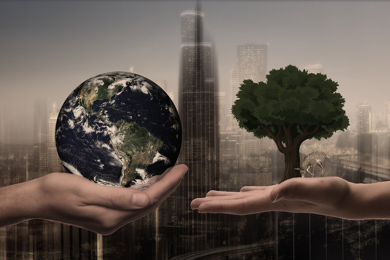 découvrez comment les entreprises régénératives transforment le paysage économique en adoptant des pratiques durables et respectueuses de l'environnement. explorez leurs initiatives innovantes qui favorisent la régénération des ressources naturelles et promeuvent un avenir responsable.