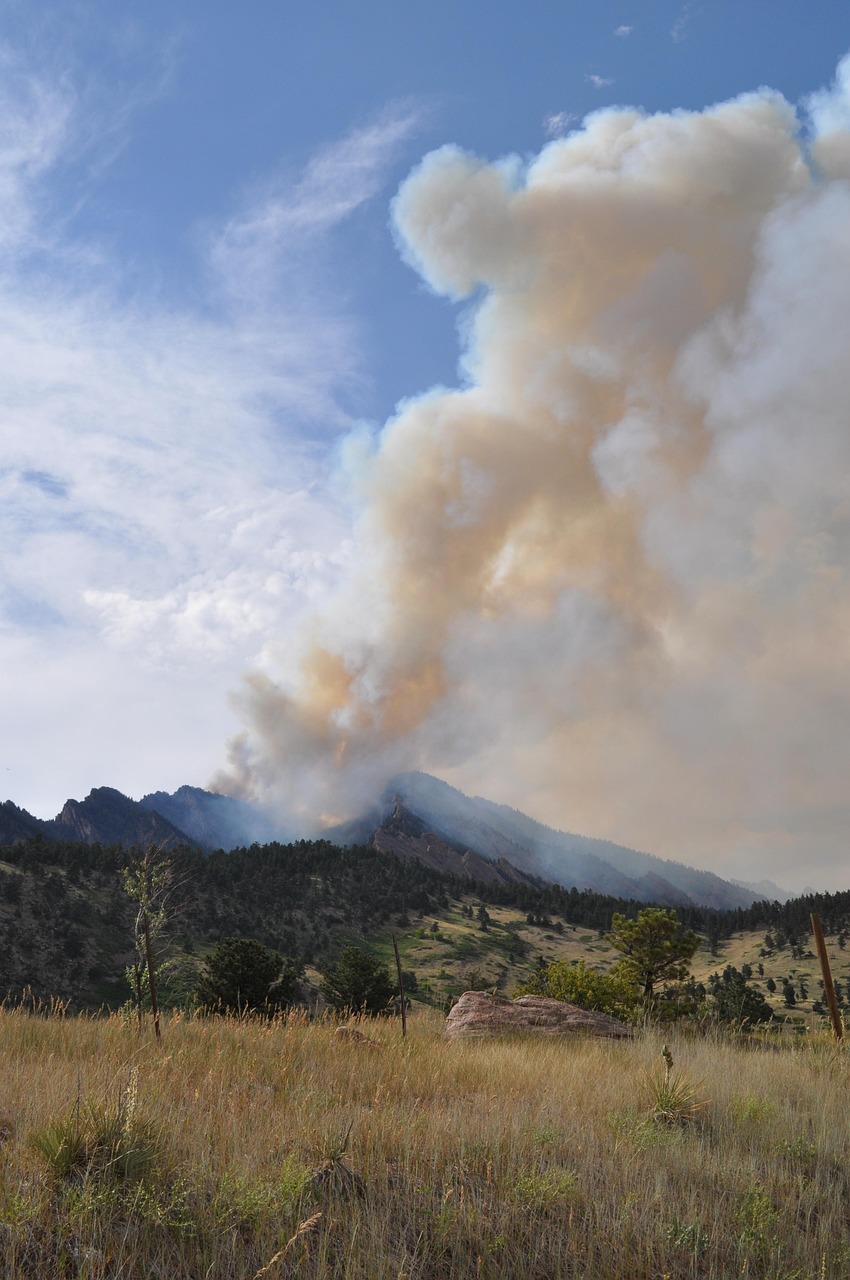 découvrez l'impact des incendies de forêt sur l'environnement et la biodiversité. explorez les causes, les conséquences et les solutions pour prévenir ces catastrophes naturelles dévastatrices.