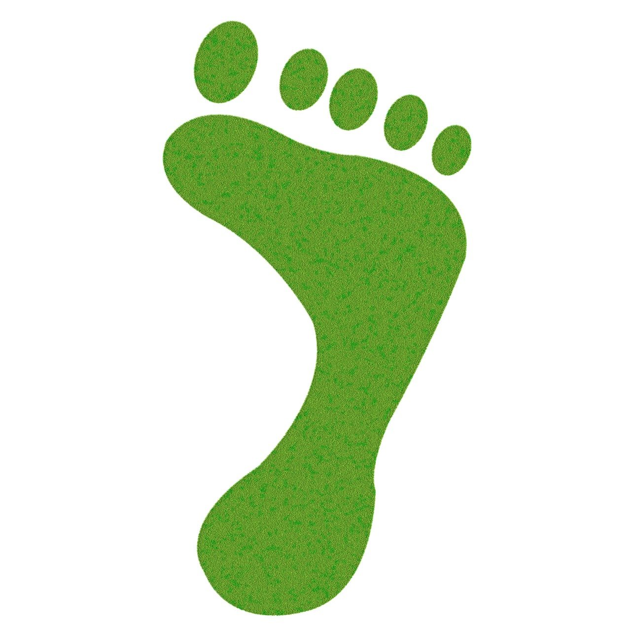 découvrez l'importance de l'empreinte carbone et son impact sur l'environnement. apprenez des moyens pratiques pour réduire votre empreinte écologique et contribuer à un avenir durable.