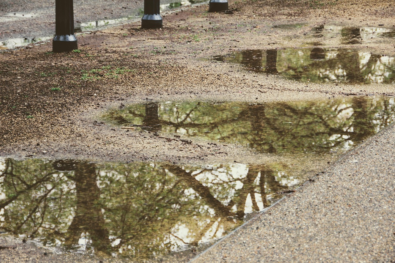 découvrez les méthodes efficaces de collecte et de gestion des eaux de pluie pour économiser de l'eau, réduire vos factures et protéger l'environnement.