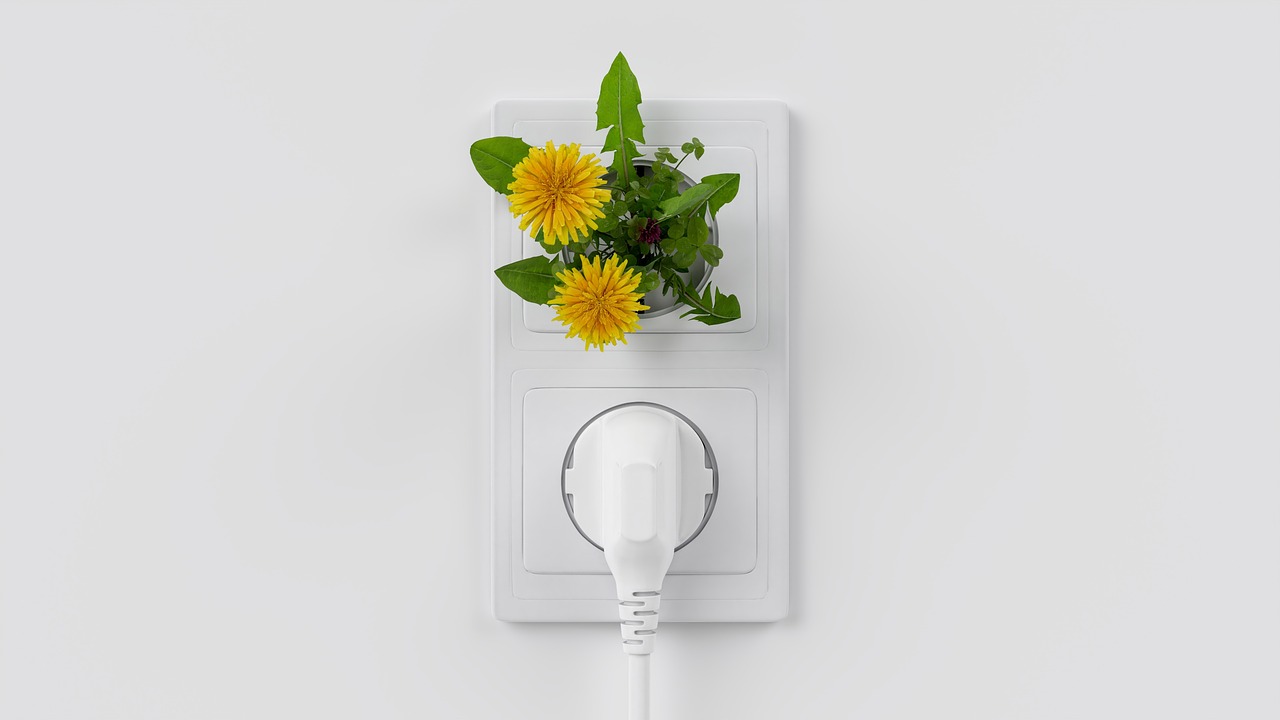 découvrez comment l'écological transition transforme nos modes de vie et favorise un avenir durable grâce à des solutions innovantes pour l'environnement.