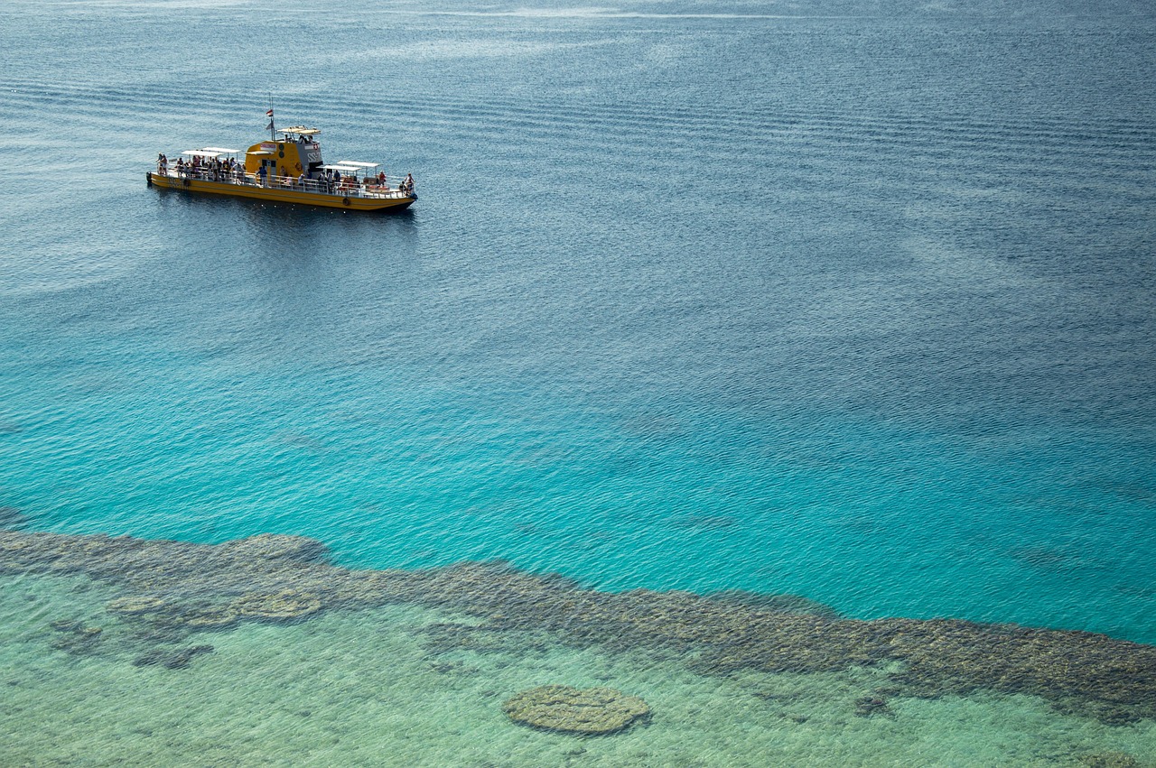 découvrez tout sur el niño, le phénomène climatique majeur influençant le temps mondial, ses causes, ses effets et ses impacts environnementaux.