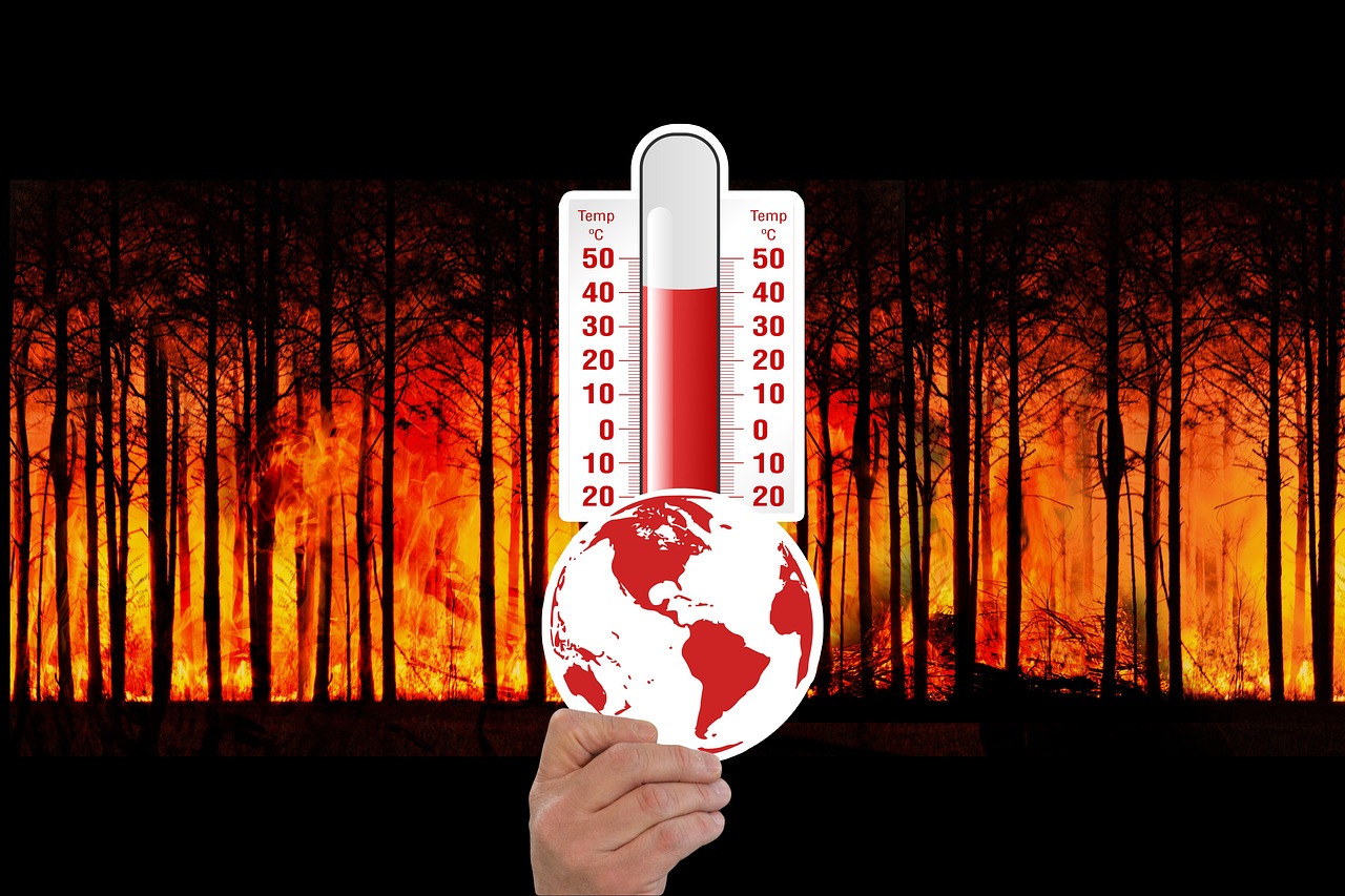 découvrez les enjeux du changement climatique, ses impacts sur notre planète et les solutions pour un avenir durable. informez-vous sur les actions nécessaires pour lutter contre cette crise mondiale.